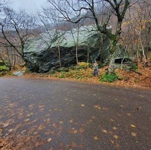 Meet your Posher, Luis